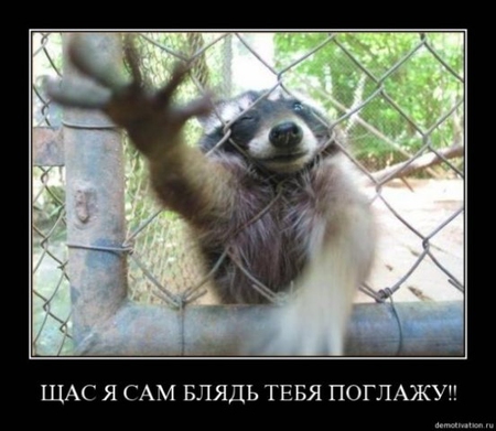 картинки пошлые веселые онлайн картинки пошлые веселые