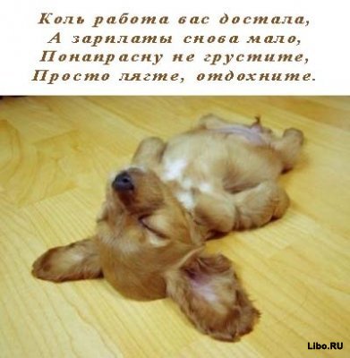 8030f1fc3b7d0cb2ca9669af045ae580.jpg