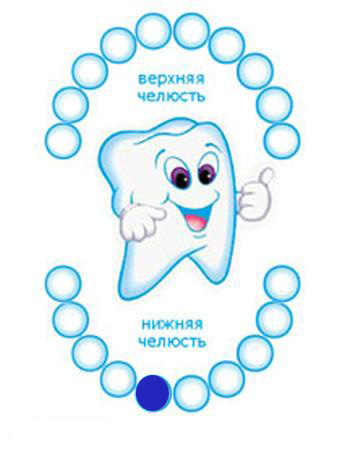 Первый зуб картинка