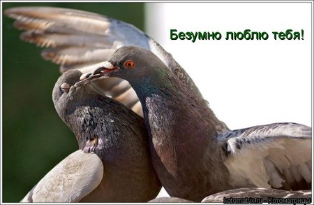 Стих мужу спасибо за ночь Стих мужу спасибо за ночь