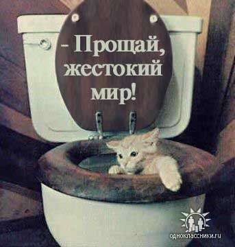 16573da08f014b6065d1b9c1273acebc.jpeg