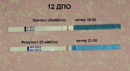 Тест делать вечером