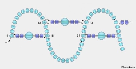 Огалала из бисера схема