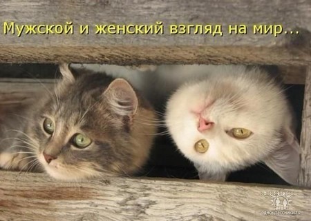 1e4566aac6de299666cbca15744f5a89.jpeg
