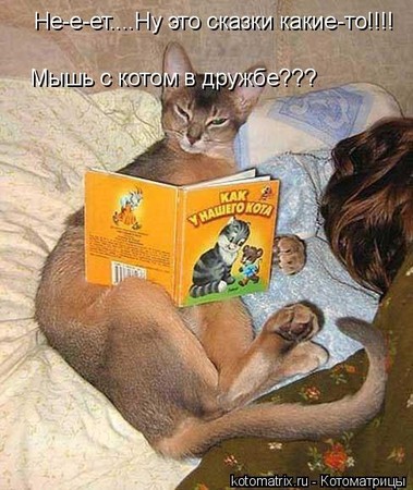 28f4f8daea2a39b1d38af364bbcccd6f.jpg