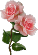 4effad1ddc0ff2abbca0dbc9077ecc9d.gif