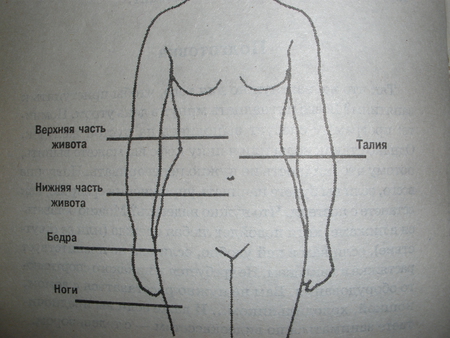 Где находится девушка. Где находится бедро. Бедра это где у человека. Нижняя часть талии. Талия (часть тела).