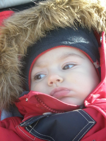 abe0491e51488afda56784f920342deb.jpg