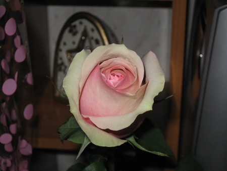 bf2d7bf8b1ff9ac8d86d39eceeb73c87.jpg