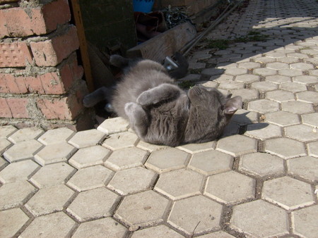 ce3b856e99e2af93a28d7d9c8a3da39f.jpg