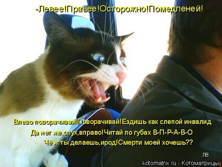 d2ccdccb6311bbfe39503a34d954684e.jpg