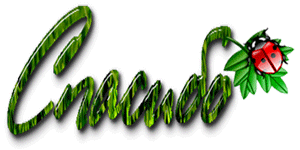 eb8ef3620aebdfee4650e5f46f4e6355.gif