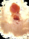 ec94976d3b85c46d5492cb8a997d67b4.jpeg