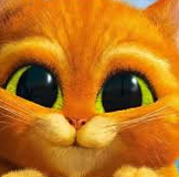 G*U*S*T*I зима 2015! СТОП СЕГОДНЯ 21.01- В 22.00!!