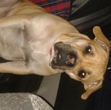 Шапки*нск-купальники! Выкуп №1 .