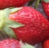 УСЛОВИЯ и ОПЛАТЫ всех предзаказов из Италии