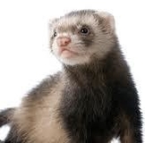 G*U*S*T*I зима 2015! сбор!