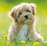 ИТАЛИЯ 2014 . соберем межсезонье многое со скидками по смешным ценам!!!!!