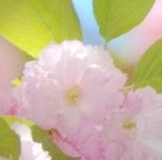 G*U*S*T*I зима 2015! ПРОДОЛЖАЕМ СБОР!