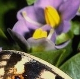 Шапки*нск-купальники! Выкуп №1 .