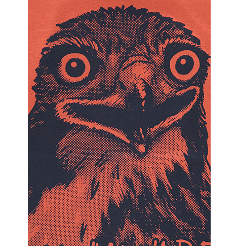 Новые вещи для мальчиков 6мес - 6-7лет из Англии слипы, кофточки, футболки, джинсы, шорты и др.(Мос