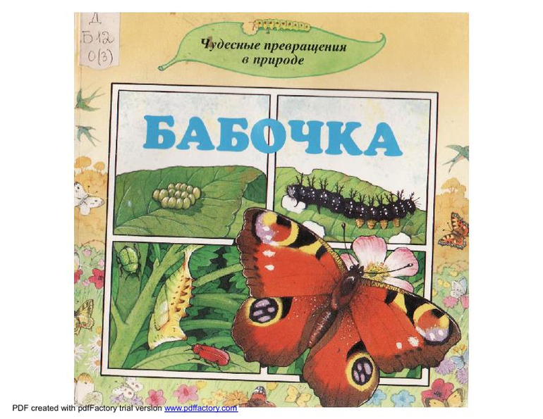 Превращение в природе. Брак чудесное превращение. Рабочая тетрадь чудесное превращение. Чудесное превращение л Стишковский. Шелестова Светлана Азбука.