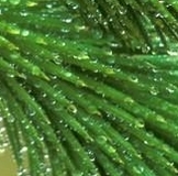 Большое спасибо девочкам за обмены