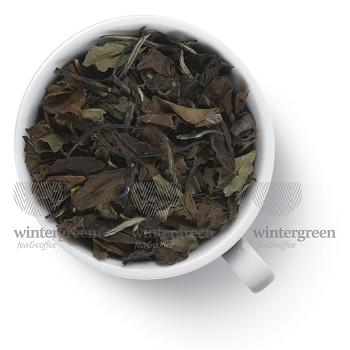 Ряды на Гутенберг