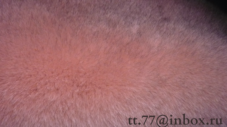 Меховые помпоны на любой вкус! Песец, Енот, Кролик.