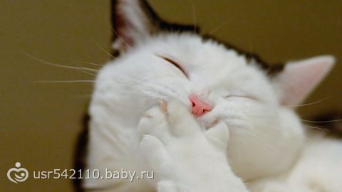 Ой ну нравится позитифф